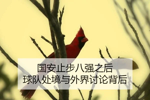 国安止步八强之后 球队处境与外界讨论背后